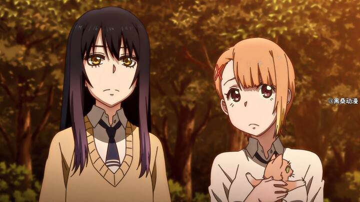 Don’t Judge a Book by Its Cover