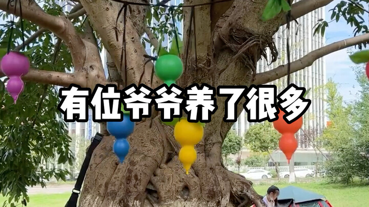 Welcome to the "Shattering Childhood Dreams" series: The Seven Little Superheroes