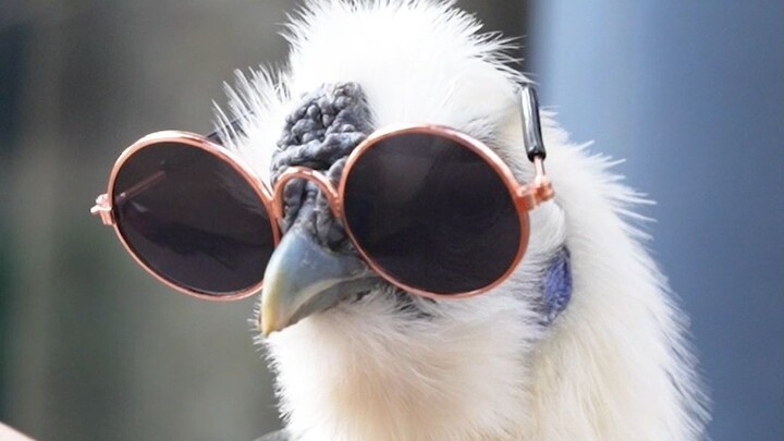 วันนี้มันกล้าใส่รองเท้า AJ พรุ่งนี้ก็กล้าเล่นบาสแล้วล่ะ