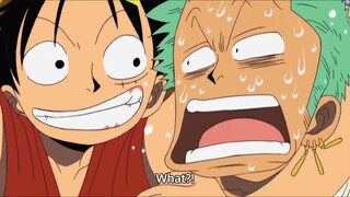 Luffy and Zoro Funny Moments in One Piece