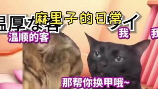 [Subtitled Content] The story of "Sacred" coming to find Mariko | Cat meme