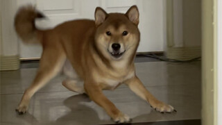 Mom's Good Son (Master of Stubbornness)