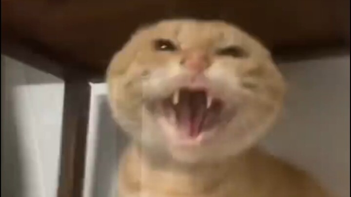 [12th Addendum] “Humans, never lose the courage to breathe life into your everyday struggles!”