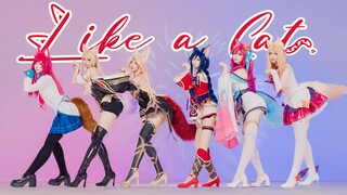 ❤️【LOL】AOA- Like a Cat 猫步轻俏❌狐步轻俏✅召唤师，你会选择哪只阿狸呢❤️【九分心跳】