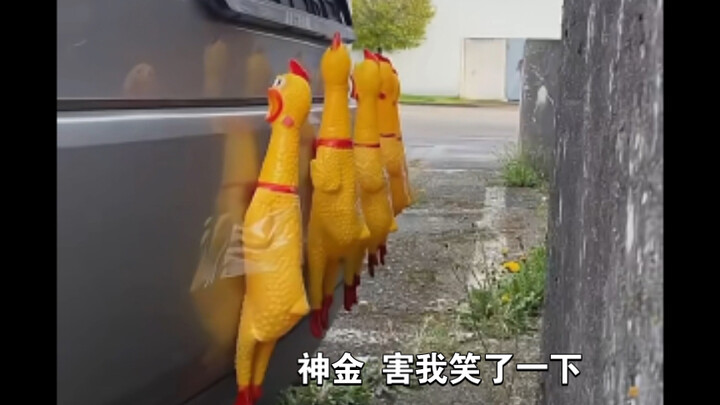 新手开车必备技能