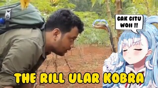 kobo kanaeru berubah jadi kobra kanaeru 🐍