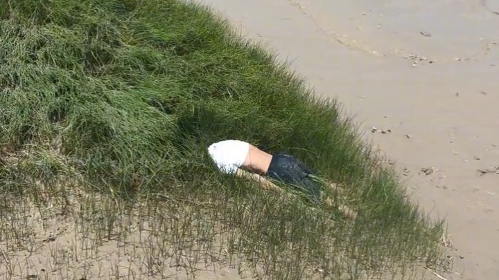 Hôm nay tôi đã làm một việc lớn bên bờ sông, mọi người mau khen ngợi tôi đi.