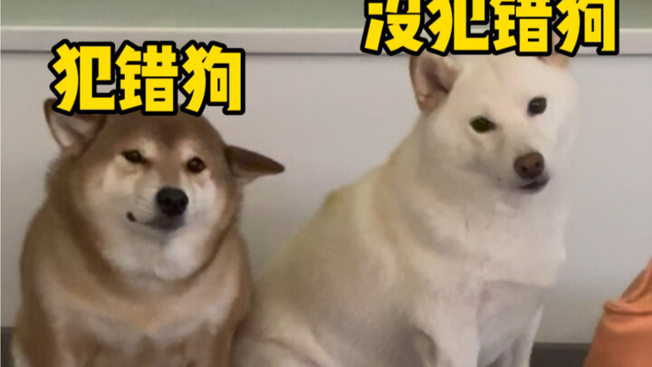 Begitu ada kesempatan langsung kabur, ya Chen Bafang?