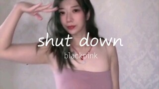 blackpink 新歌shut down