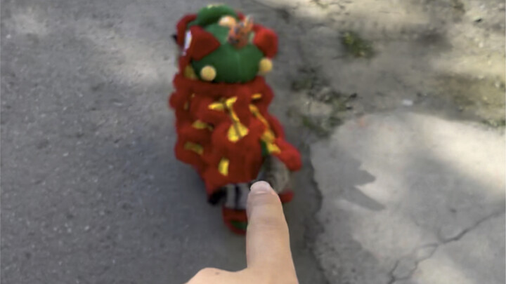 Can anyone tell me what kind of beast this is?