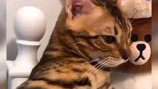 #ตลก ดูแค่สายตาก็น่าจะรู้เรื่อง