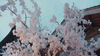 A prime minister disguised episode 4(eng sub)