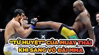 "Tử huyệt" của Muay Thái khi thi đấu MMA | Võ thuật