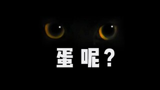 【玄猫绝育】女医生手术室里直呼：“你太黑了，蛋呢？”