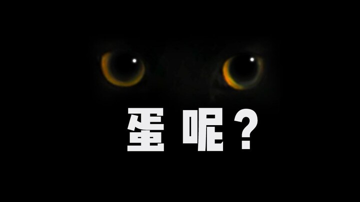 【玄猫绝育】女医生手术室里直呼：“你太黑了，蛋呢？”