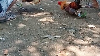 katuwaan lang poh