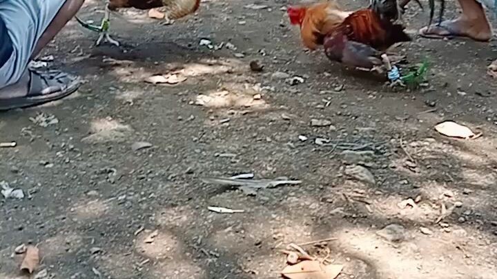katuwaan lang poh