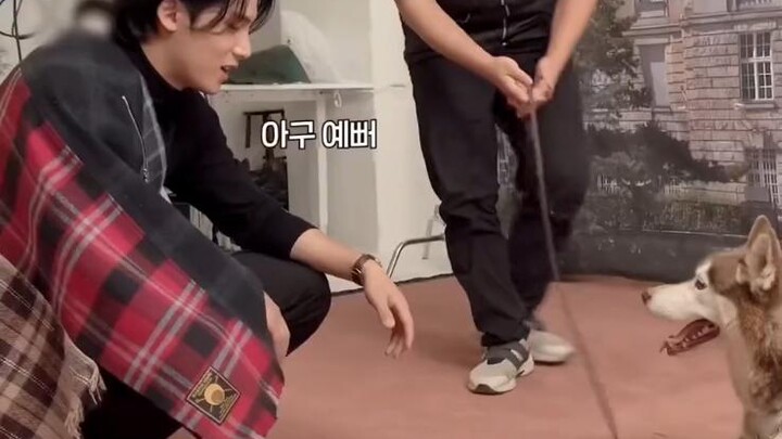[Kim Min-kyu] Like poles really do repel — Min. Dog Doesn’t Care. Kui