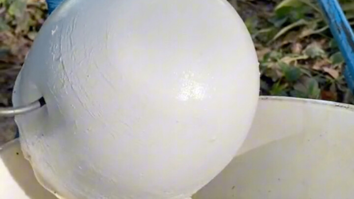 Một phiên bản nhập vai quá trình cạo mủ cao su và thu gom mủ.