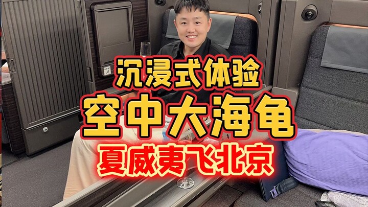 Về nhà rồi! Bay từ Hawaii đến Bắc Kinh, trải nghiệm “rùa biển trên bầu trời” cực kỳ sống động!