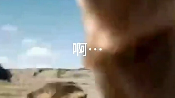 في وقت لاحق، قام شقيق ملك الأسود بتحميل الفيديو