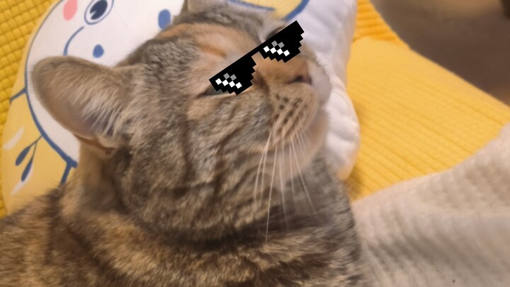 أنفٌ شاهق وعينان غامضتان: جانبية الشاعر الرائعة.