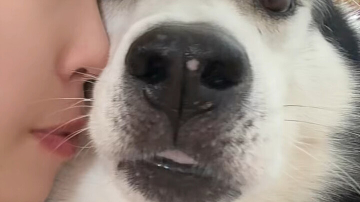 Kamu tunggu sampai kamu tidur