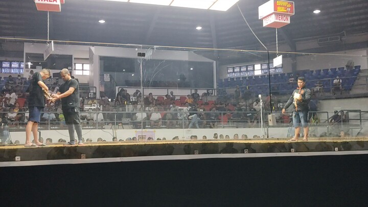 coliseo de manila second fight february 19 win