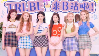 【TRI.BE】B站的小伙伴们，我们来啦！