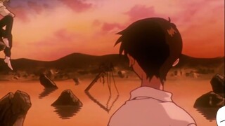 [EVA] How can you still watch anime when your grades are so good? Live editing of 100,000 fans celeb