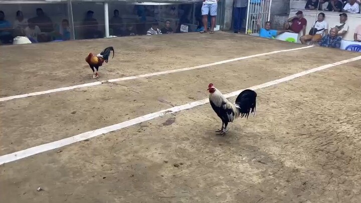 MARIKINA 2ND FIGHT WIN