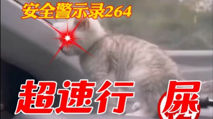 【Catatan Peringatan Keselamatan 264】Sopir Berpengalaman: Melaju Kencang, Membawa Bencana! Di Tengah 