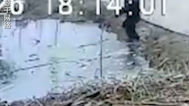 Meski sudah tua, itu tetap rumah, pahlawan!