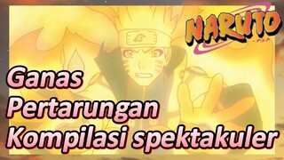 Ganas Pertarungan Kompilasi spektakuler