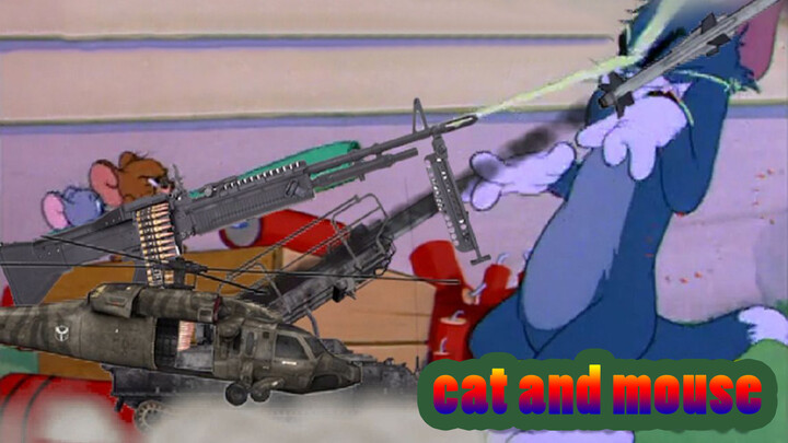 Trận chiến giữa Tom và Jerry
