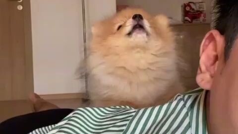 ทุกคนขำแน่ๆเพราะว่าตลกทุกคนต้องลองไปดูก่อนเดี๋ยวทุกคนคิดว่ามันจะไม่สนุกนะทุกคนก็ไม่ดูทุกคนต้องลองดูก