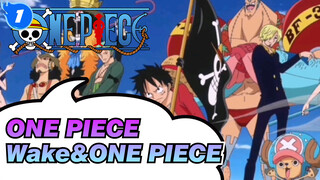 ONE PIECE|Take you enjoy the amazing of ONE PIECE in Wake_1