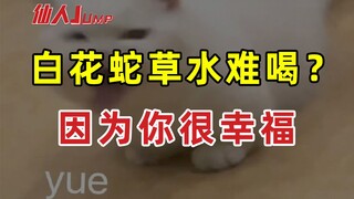 [NHẢY] Nước từ cỏ rắn trắng có khó uống không? Quả là một điệu nhảy lay động tâm hồn.