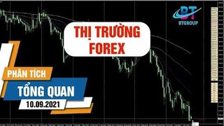 Phân tích thị trường Vàng, ngoại tệ, CFD , Stock và BTC NGÀY 10/09/2021