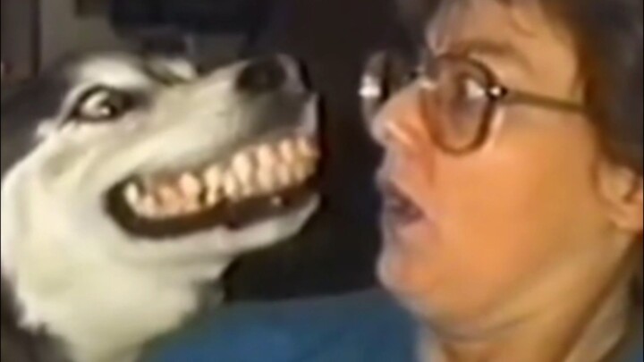 dog attack the owner 😱#foryou