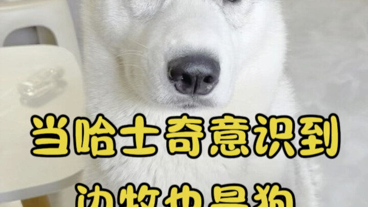 Husky: A man is strong when he has no desires.