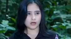 443 Ganteng Ganteng Serigala