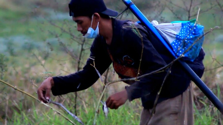 Mikat Burung Prenjak