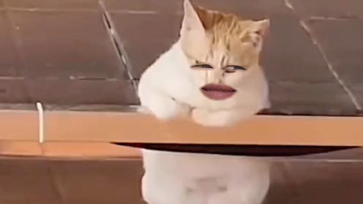 ฉันไม่อยากไปทำงาน