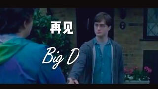 哈利波特  达力  哈利【删减片段回忆】
