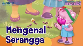 Belajar dan Mengenal Nama Nama Serangga