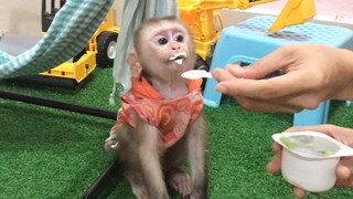 Mom feed Mino monkey yogurt while playing
