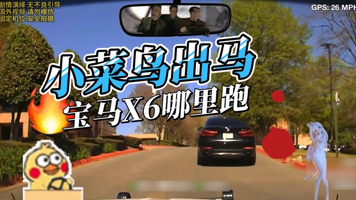 Si Pemula Siap Menghiburmu Sepanjang Hari!