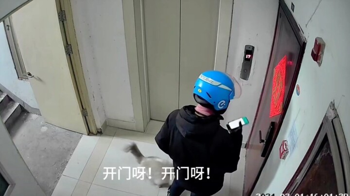 Trước cửa có một con mèo? Con mèo này định ăn mất đồ ăn mang về của tôi!