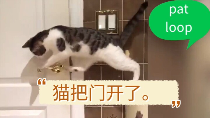 Funny Pet Escape Compilation -